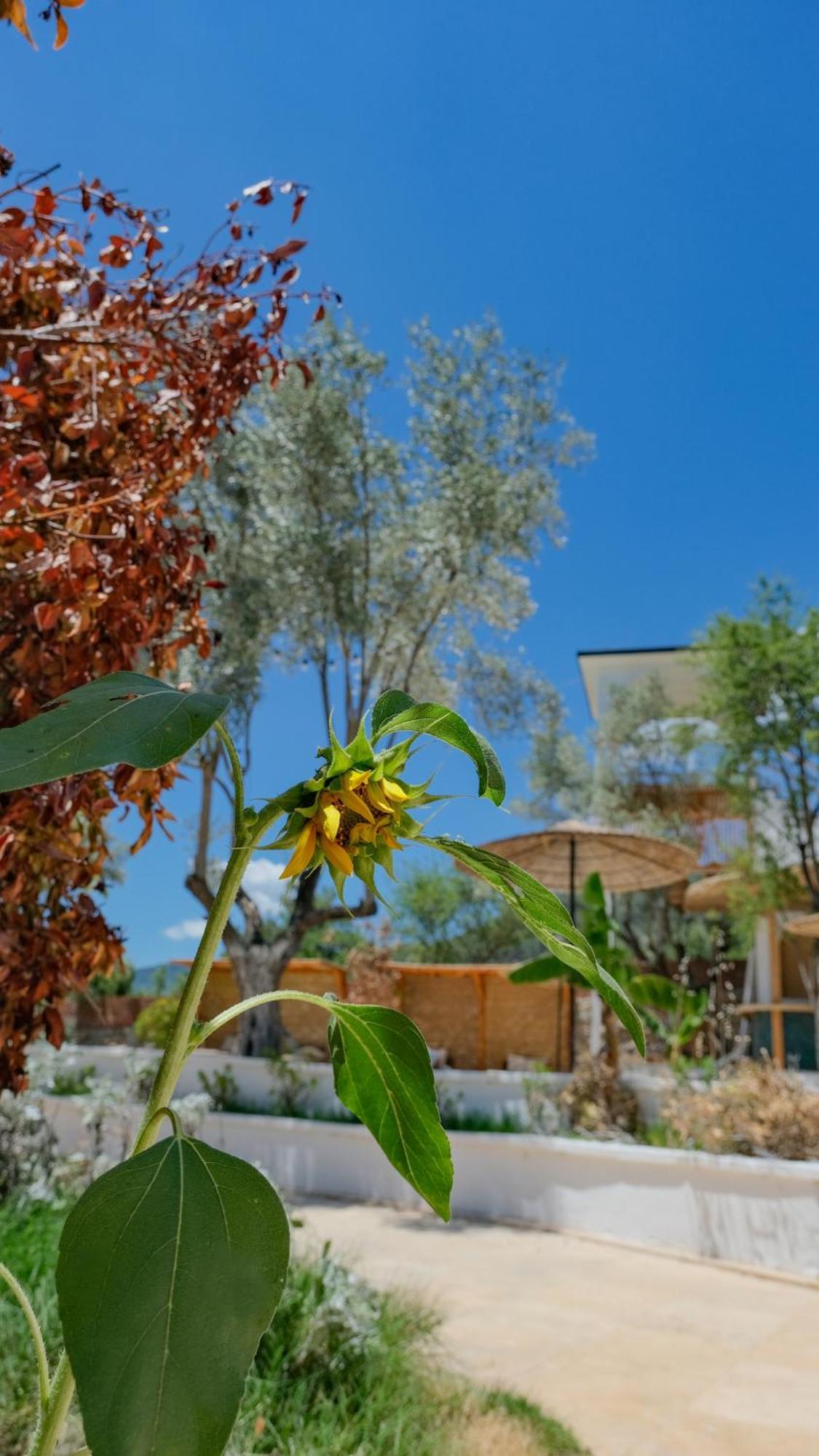 Holiday home Zai Jardin *