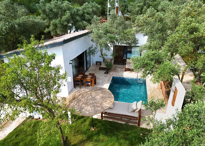 Zai Jardin
