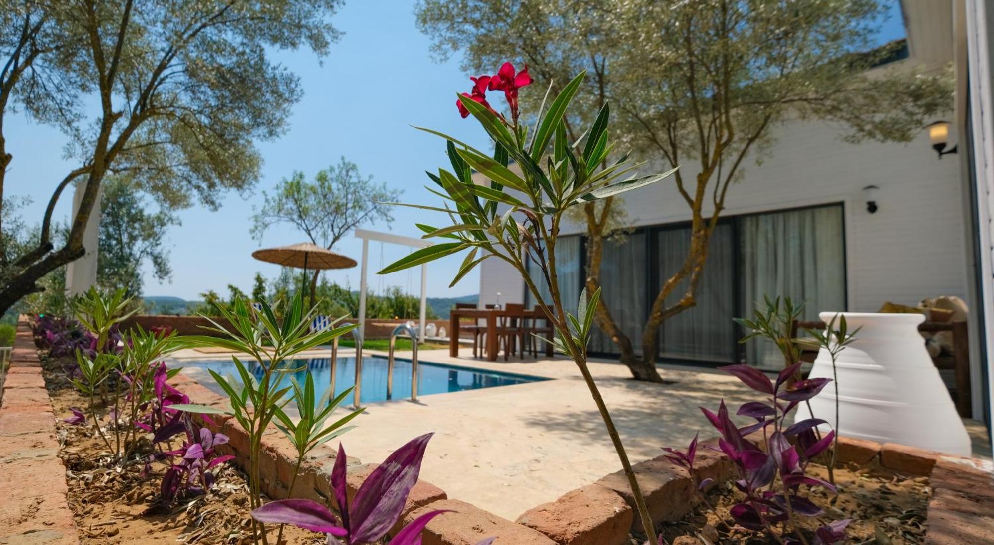Ferienhaus Zai Jardin