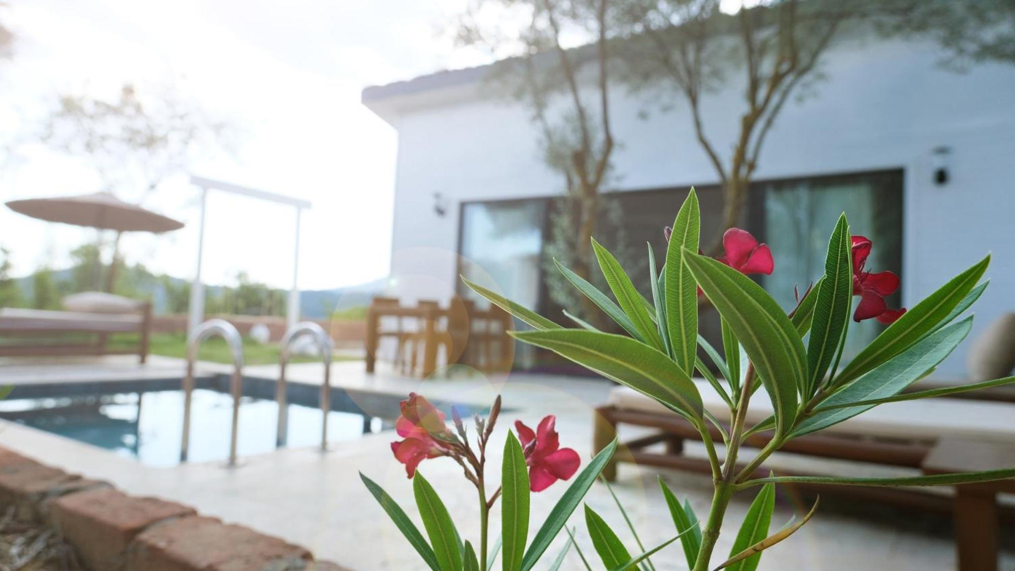 Zai Jardin Ferienhaus Fethiye